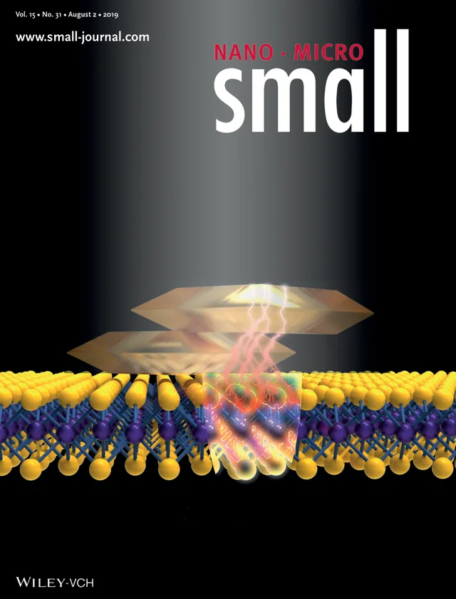 Inside back cover featuring Dark-Exciton-Mediated Fano Resonance from a Single Gold Nanostructure on Monolayer WS2 at Room Temperature