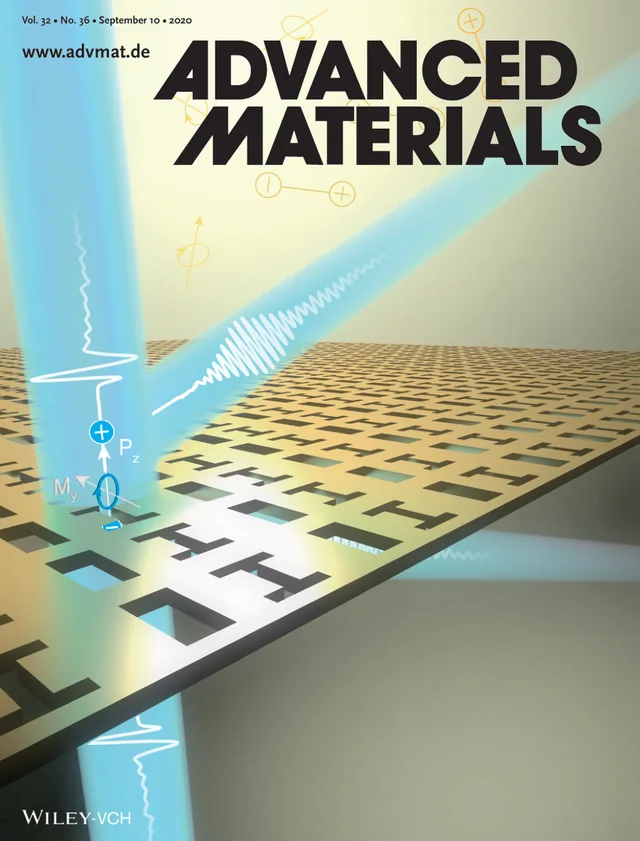 Inside back cover featuring Coherent Perfect Diffraction in Metagratings